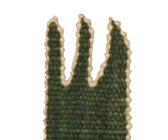 ラインナップ10